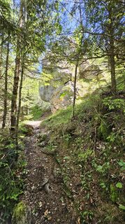 Photo de FritzB le long du parcours