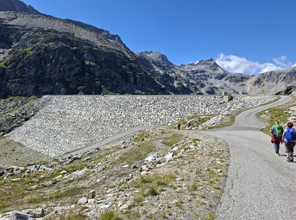Foto von Mangolein entlang der Tour