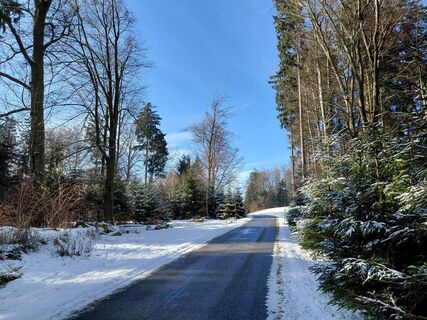 Fotografija s spletne strani Christine Reiter 2 na poti