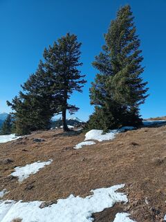 Foto von Stanislaw Musial entlang der Tour