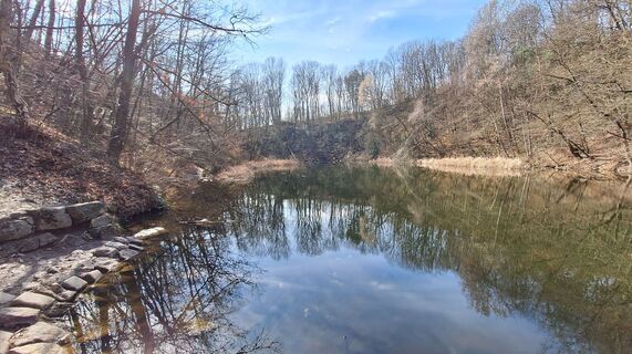 Fotografija s spletne strani Regina Fleischmann na poti