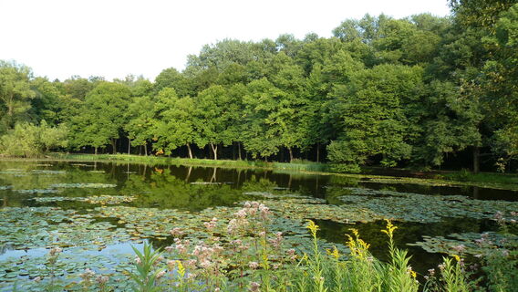 Naherholungsgebiet Fischteiche