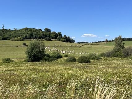 Fotografija s spletne strani Gabriele Anselm na poti