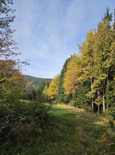 Fotografia z Ingrid H na trase