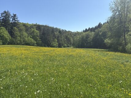 Zdjęcie z F. Shirazi-Joska wzdłuż trasy