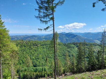 Foto von Helmut Wagner 2 entlang der Tour