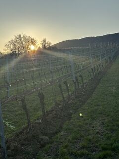 Fotografija s spletne strani Chris na poti
