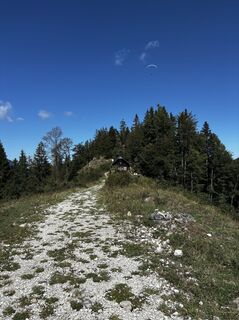 Foto von Birgit Haubner entlang der Tour
