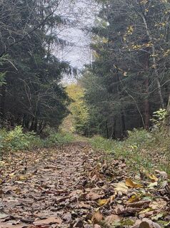Fotografija s spletne strani Harald Kriebel na poti