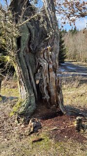 Photo de Gabriele Wagener le long du parcours