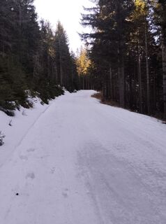 Fotografia z Raoul Nicolas na trase