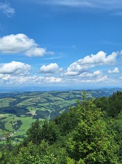 Foto von Mimi entlang der Tour
