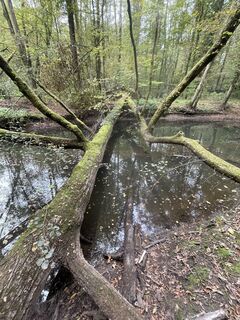 Foto von simeon krapp entlang der Tour