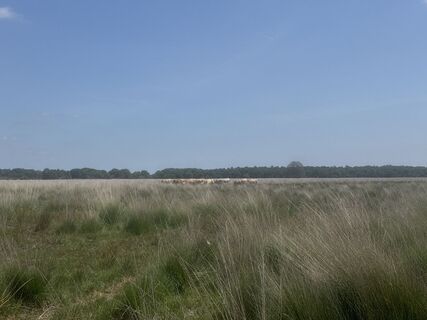 Foto von Babita entlang der Tour
