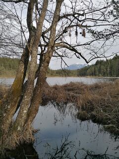 Fotografia z Dagmar Hofer na trase