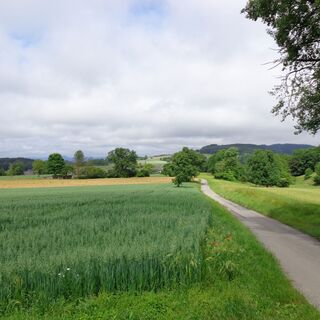 Natur auf dem Bodanrück