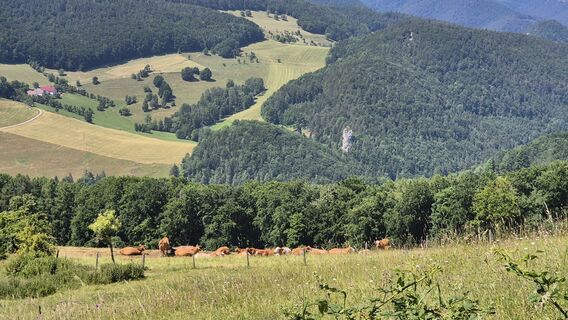 Fotografia z Claudia Maurer na trase