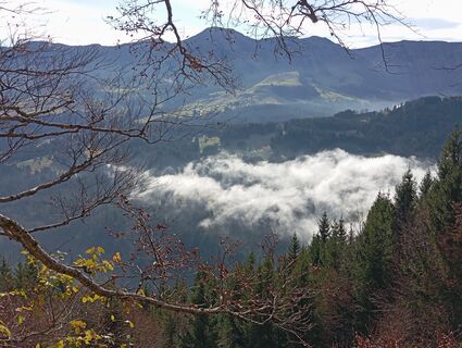 Fotografija s spletne strani Horas26 na poti