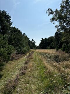 Foto de Georg Barzel a lo largo del recorrido