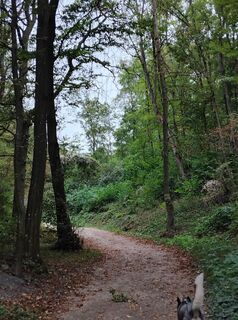 Foto von Mery entlang der Tour