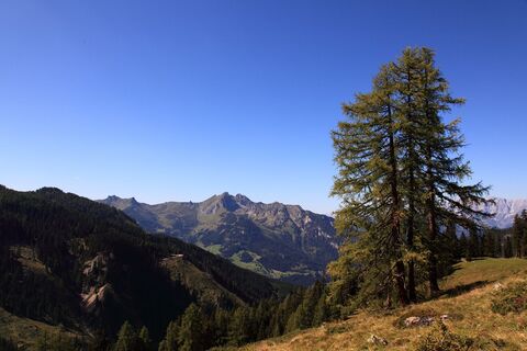 Ausblick von der Großwildalm