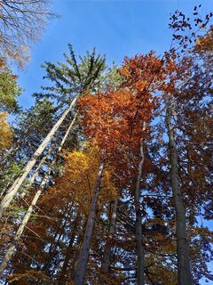 Фото с сайта Heinz Weber in во время экскурсии
