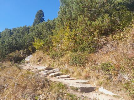 Photo de Roman Künzli le long du parcours