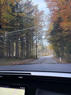 Hohe Wand, Niederösterreich/Österreich