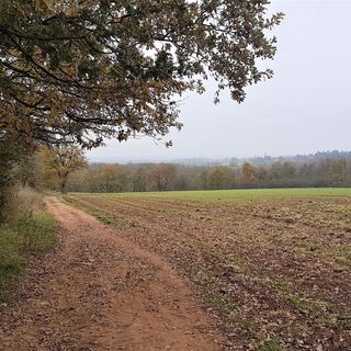 Fotodienstleister