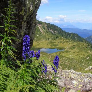 Der Buse See von Ziolera Scharte
