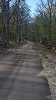 Foto de Petr Merta 1 a lo largo del recorrido