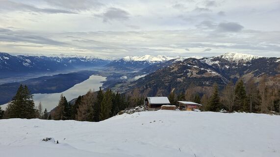 Foto von Mangolein entlang der Tour