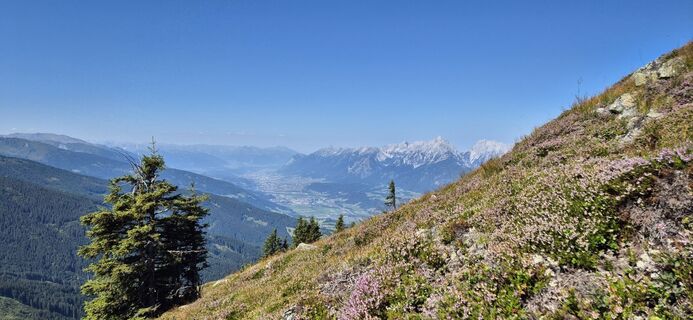 Fotografie z Mircoeuteneuer51 na trase