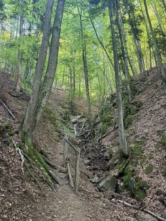 Photo de Nico ?️ le long du parcours