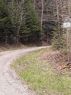 schöner Waldweg