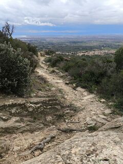 Foto de CPQS a lo largo del recorrido