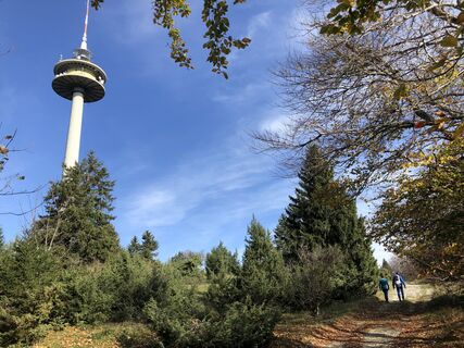 Wanderer am Plettenberg