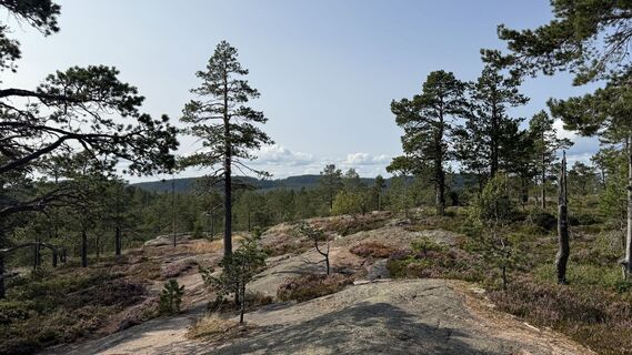 Foto von edefreak entlang der Tour