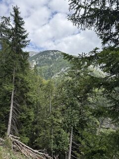 Foto von Olena Duriagina entlang der Tour