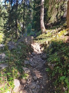 Photo de Tamara Schwarz 2 le long du parcours