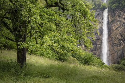 Seerenbachfall im Frühling