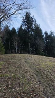 Fotografia z W B MA na trase