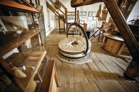 Radeln auf dem OC 3 - Rund um Venne - Mühle, Moor und Varusschlacht