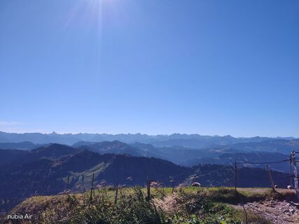 Fotografija s spletne strani P. Ertle na poti