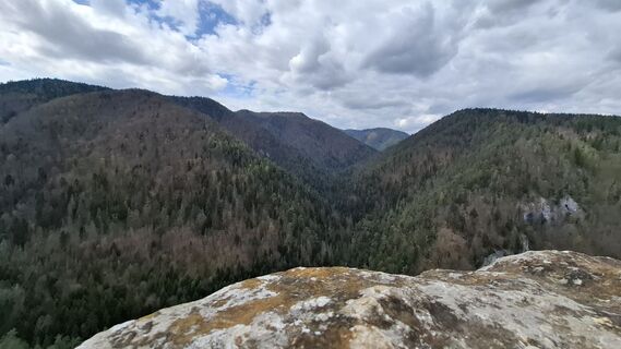 Foto de Vladimira Oleksikova a lo largo del recorrido