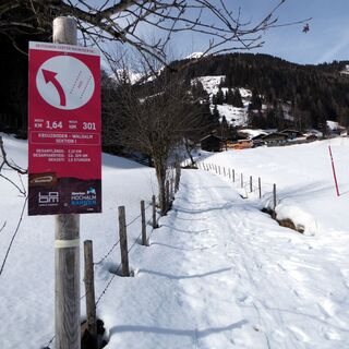 Kurz nach dem Startpunkt Kreuzbodenlift-Talstation zweigt die Route in das Gelände ab.