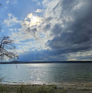 Zdjęcie z garrincha wzdłuż trasy