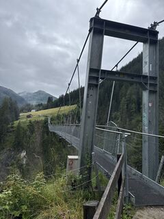 Foto von Grizzli entlang der Tour