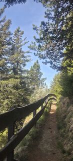 Photo de Darija Forgač le long du parcours