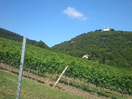Eiserne Hand mit Blick zum Leopoldsberg